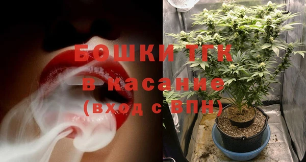 бошки Белокуриха