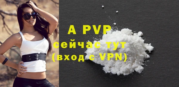 бошки Белокуриха