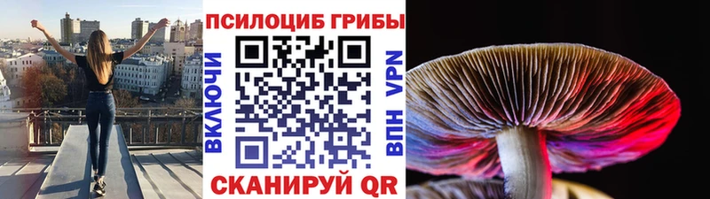 Псилоцибиновые грибы прущие грибы  Купить  Лабытнанги 